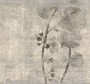 290284c34b3bb67433fd46bf4bb7c604