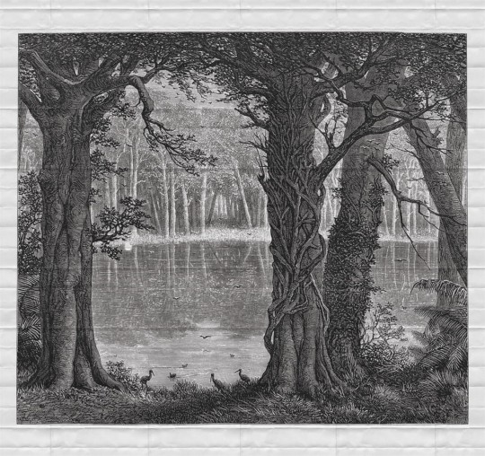 Fototapeta London Art Fairy Tale Forest 15167-01