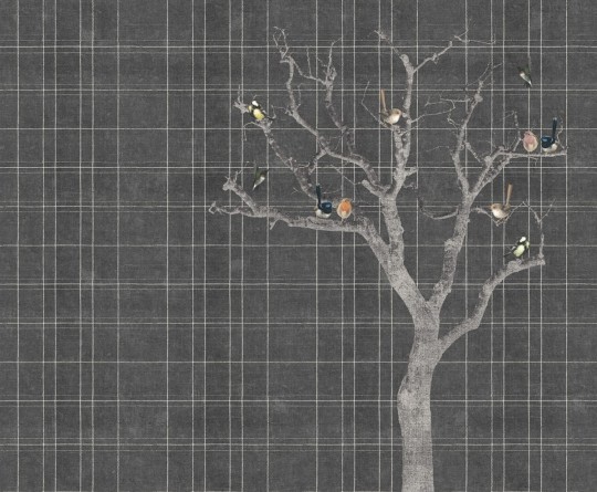 Fototapeta London Art The Birds 15168-02