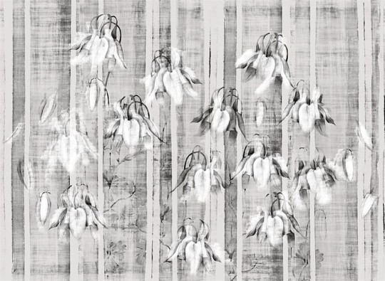 Fototapeta London Art We Come 14036-03