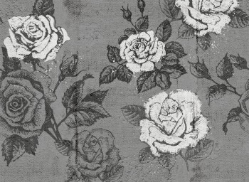882254d8145f6b25b2b6f39a3b3acc41