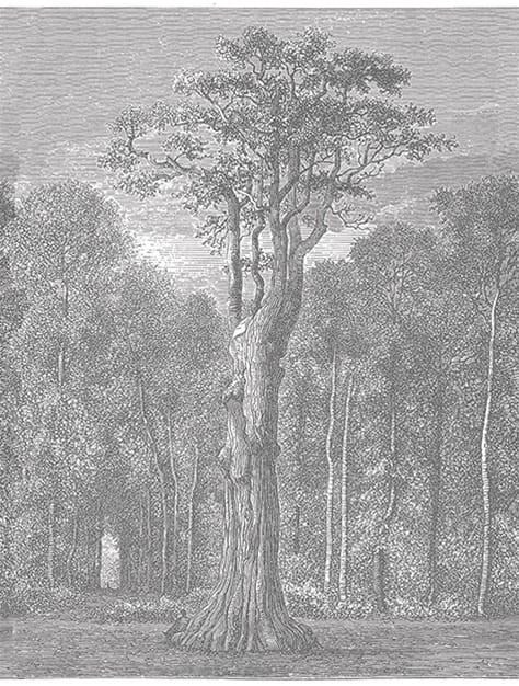 Fototapeta London Art Holy Wood 14057-01
