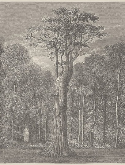 Fototapeta London Art Holy Wood 14057-02