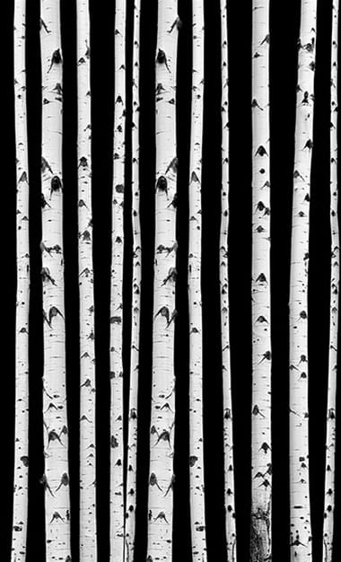 Fototapeta London Art Live 14128-03