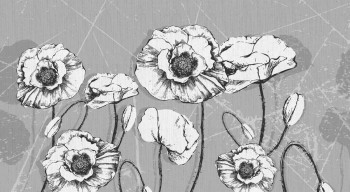 efd0b921cf32a044dba30bc8829f1d9e