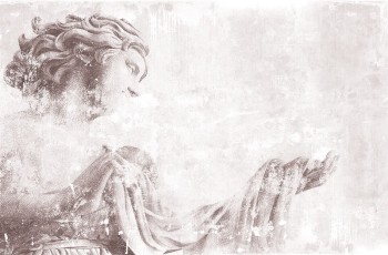 4f847cc27ae10d4bd969b06c2725e7e8