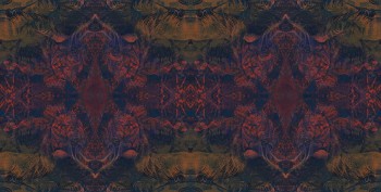 5ff8a0ffa71e6834bb632ce90554f6fb