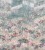 23e60b1107241036a805377707fa7b03