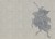 d6287f7d9b0ae0b990f72e4f93d34c95