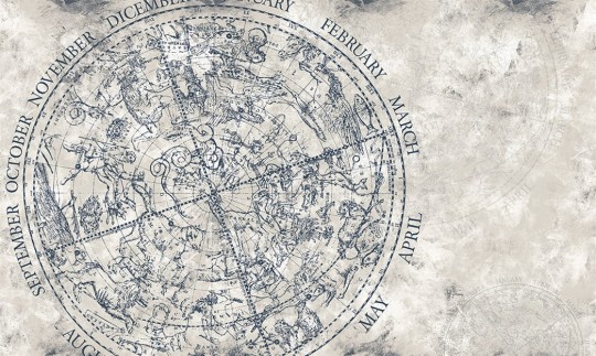 London Art 14056-03 Exclusive 15/14 Bleach - mural astrologiczny