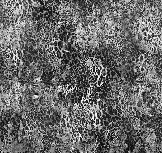 Fototapeta London Art Roar 14127-02