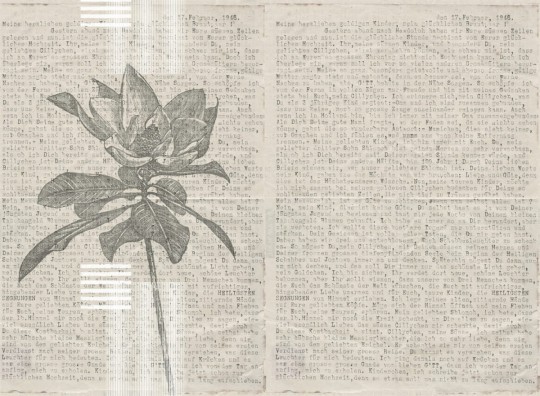 London Art 15161-02 Exclusive 15/14 Words and Flowers - mural kwiaty i słowa