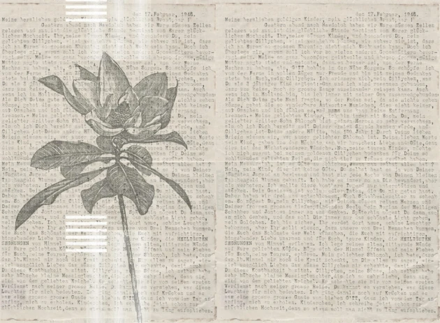 London Art 15161-02 Exclusive 15/14 Words and Flowers - mural kwiaty i słowa