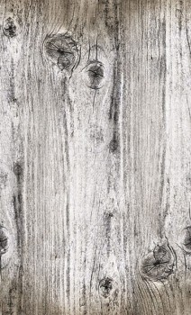 aab28f636764d2244f7d11672e82261b