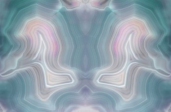 2278c6f845703d9fd6f4013cbd929a34