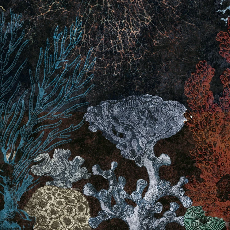 d3ebfc973529cf1522d5644b1b25d89f