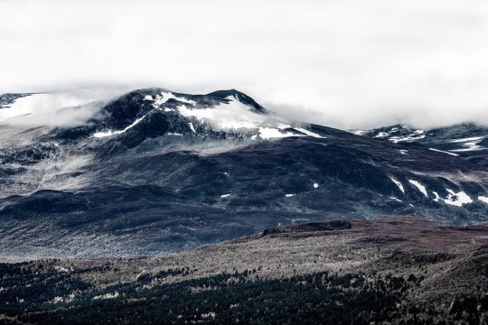 Fototapeta Rebel Walls The North R16371