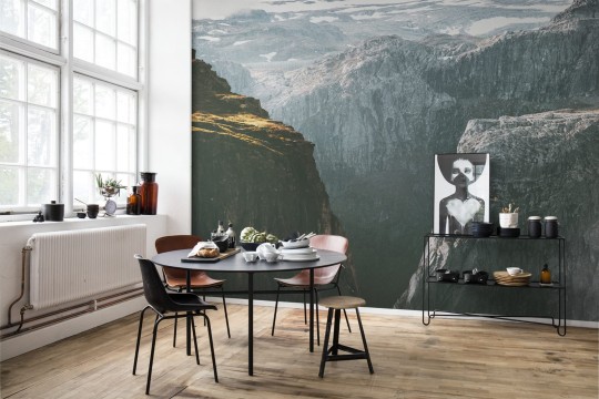 Fototapeta Rebel Walls Mount Giant R16451