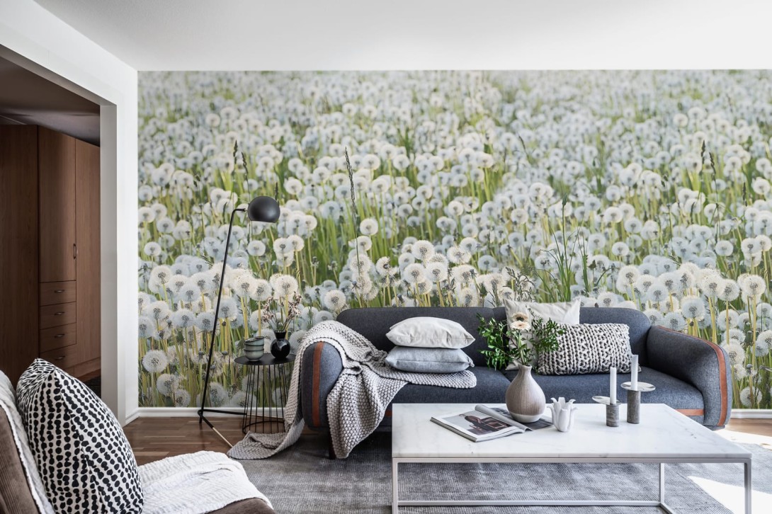 Fototapeta Rebel Walls Dandelions R16351