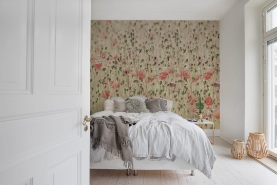Fototapeta Rebel Walls Poppies R16391