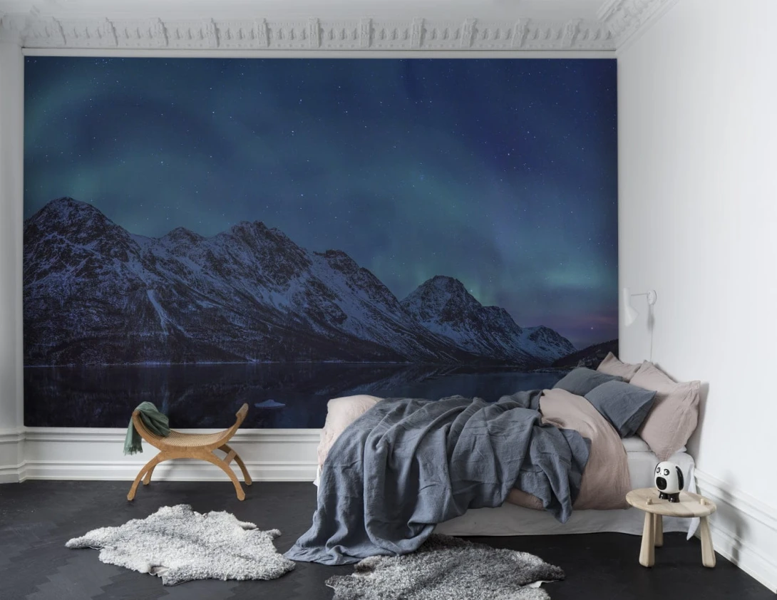 Fototapeta Rebel Walls Northern Lights R16491