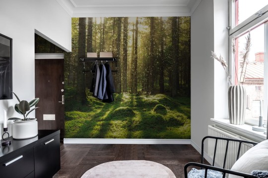 Fototapeta Rebel Walls Forest Bath R16641