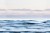 13585d25565a066cae6f3c945778e59a