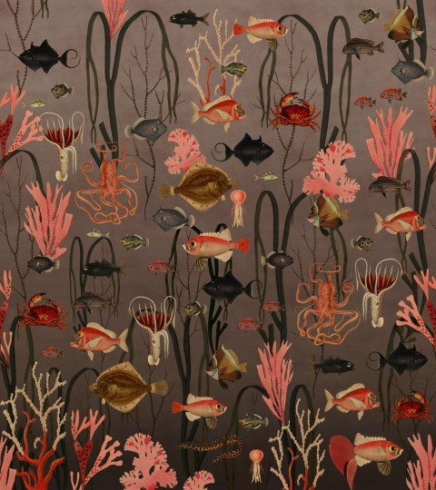 Fototapeta Rebel Walls Aquatic Life, Coral R17142