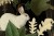 ec99a32949d9a1bd29da872dea26e9c7