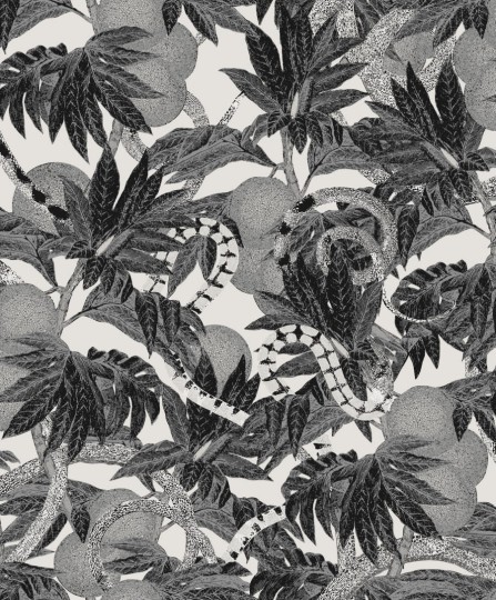 Tapeta Khroma Cabinet Of Curiosities CAB202 Equator