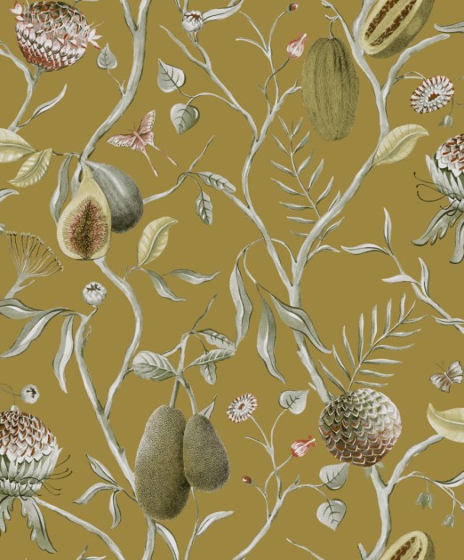 Tapeta Khroma Cabinet Of Curiosities CAB603 Papaya