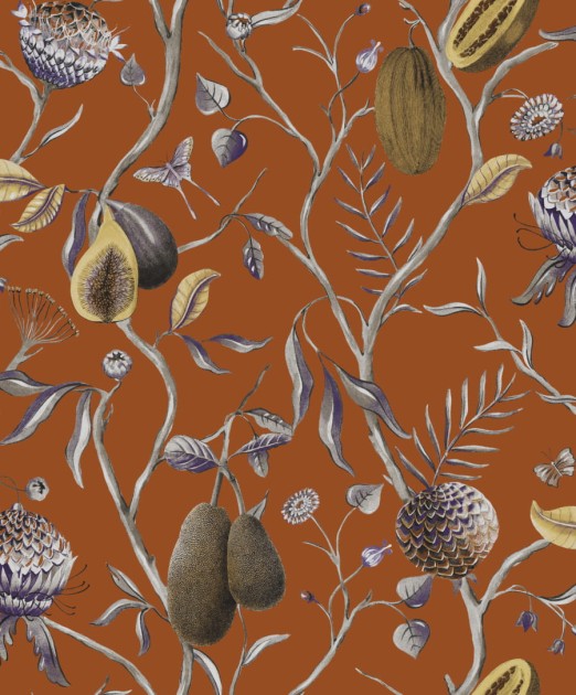 Tapeta Khroma Cabinet Of Curiosities CAB604 Papaya