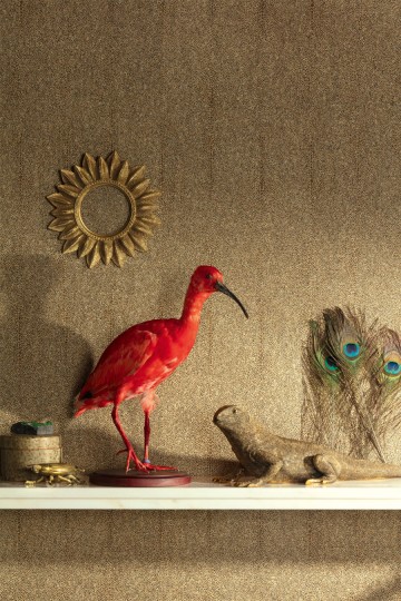 Tapeta Khroma Cabinet Of Curiosities CAB902 Iguana