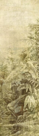 Mural Khroma Cabinet Of Curiosities DGCAB1023 Wander