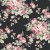 d8029c35feaefc4211c36f1f33f4bab6