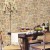 2ebe3d5208e4a2ffc749312d5ecab0b6