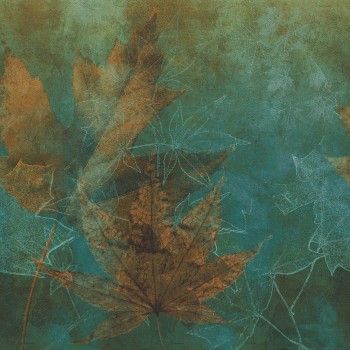 e1b8adfd80ac5185c84e62502cea117e