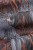 00e63ed462478337da6d1072c359a6c1