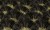 82bab3bc69f6e8143953efef7ac904de