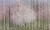 7b260c37aae37a5887fd9ed47dd2f7c5