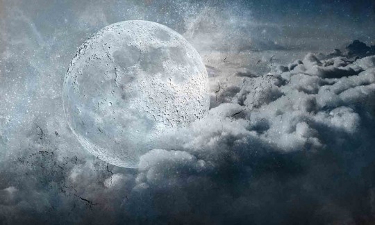 Mural Wonderwall Style Story 35 0432 03 Nubium