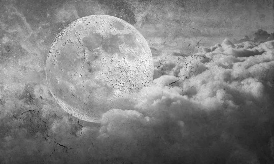 Mural Wonderwall Style Story 35 0432 01 Nubium