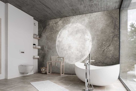 Mural Wonderwall Style Story 35 0416 08 Moon