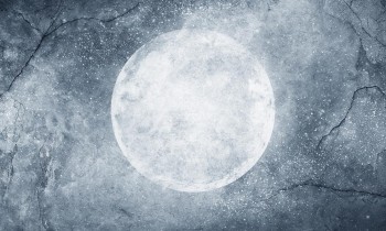 3f1de0322411f2db4c498376e3253e8a