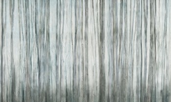 ae15bbb4b260f087d65ffabcfdf8926c