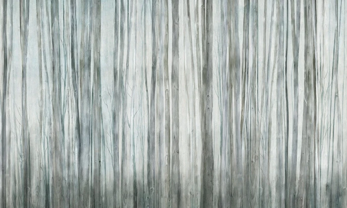 ae15bbb4b260f087d65ffabcfdf8926c