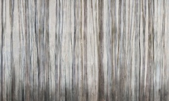 3e3c3340f539a45120589337a33f5f5d
