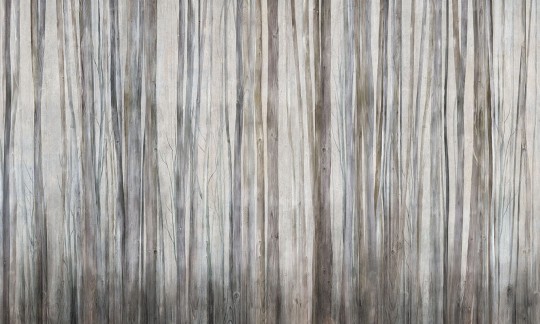 Mural Wonderwall Fleur Scharme 35 0794 18 Mirage