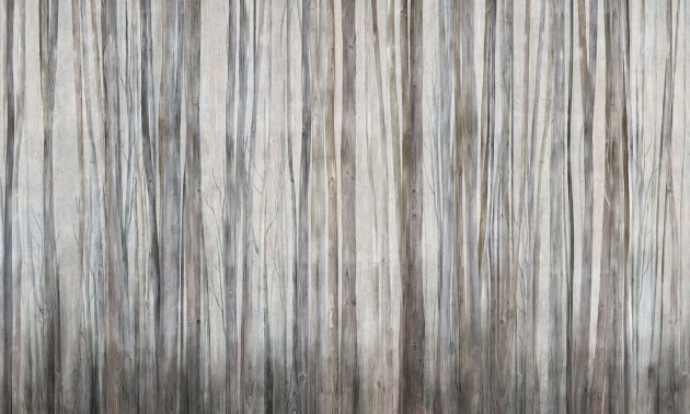 Mural Wonderwall Fleur Scharme 35 0794 18 Mirage
