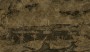 a44506bb8bc592636efacbc5eacc54d4